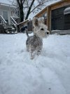 IMG_3215.jpeg