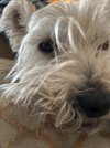 IMG_5186.jpeg