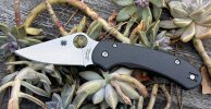 Spyderco PM 3 S90V.jpg