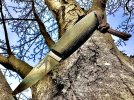 IMG_0191.jpeg