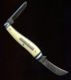 Wostenholm French ivory Michell Seeds (6).jpg