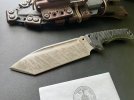 IMG_8374.jpeg