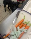 IMG_6126.jpeg