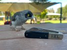 IMG_7223.jpeg