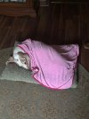 IMG_2492.jpeg