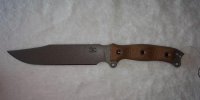 Busse NMSFNO Bowie-Tan 2.jpg