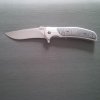 ZT 600 1.jpg ZT 600 1.jpg