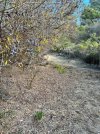 IMG_6821.jpeg