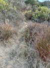 IMG_6812.jpeg