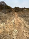 IMG_6811.jpeg