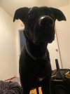 IMG_5994.jpeg