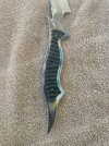 IMG_0393.jpeg