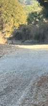 IMG_6828.jpeg