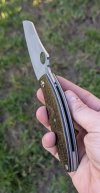 PXL_20250201_153656167.jpg
