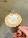 IMG_2757.jpeg