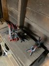 IMG_1264.jpeg
