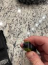 IMG_5580.jpeg