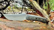 IMG_0217.jpeg