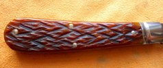 RIMG3520.JPG