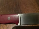 IMG_0534.jpeg