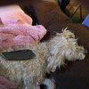 IMG_1864.jpeg