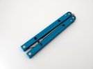 Blue Butterful 1.jpg