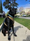 IMG_0187.jpeg