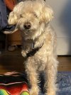 IMG_1867.jpeg
