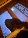 IMG_1343.jpeg