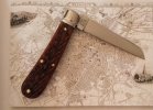 KIMG4856~2.JPG