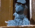 IMG_7579.gif