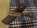 IMG_6226.jpeg