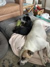 IMG_7953.jpeg