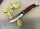 IMG_6237.jpeg