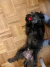 IMG_5815.jpeg