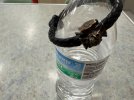 IMG_9492.jpeg