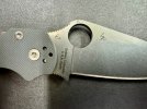 IMG_4260.jpeg