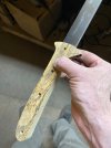 IMG_1441.jpeg