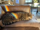 IMG_4174.jpeg