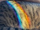 IMG_4177.jpeg