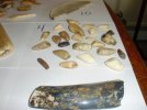 new pictures 038.jpg