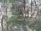 Lower Farm Pasture 1.jpg