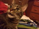 ImageUploadedByTapatalk1403522598.448318.jpg
