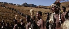 zulu-zulus.jpg