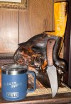 IMG_6684.jpeg