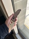 IMG_1906.jpeg