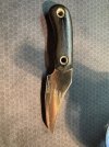 IMG_4303.jpeg