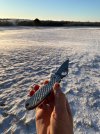 IMG_2900.jpeg