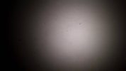 20250214_124102.jpg