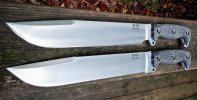 BUSSE-ASHBM_SE1-300_27s-3_zps07c6bfde.jpg